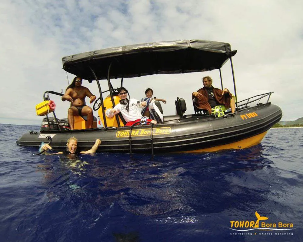 Bateau Tohora Tours