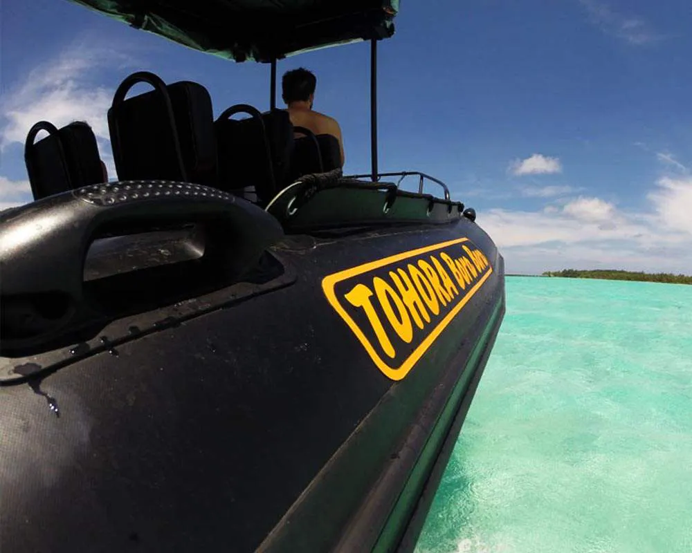 Excursion en bateau Tohora