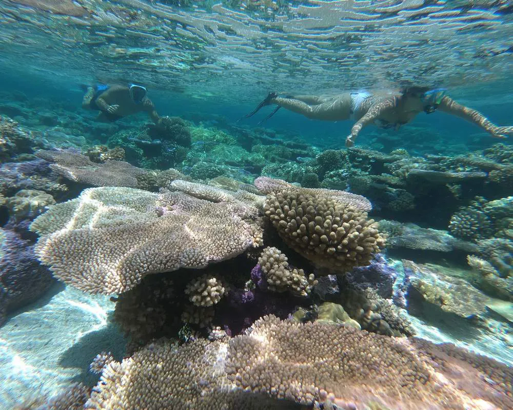 Bora Bora barrière de corail snorkeling site