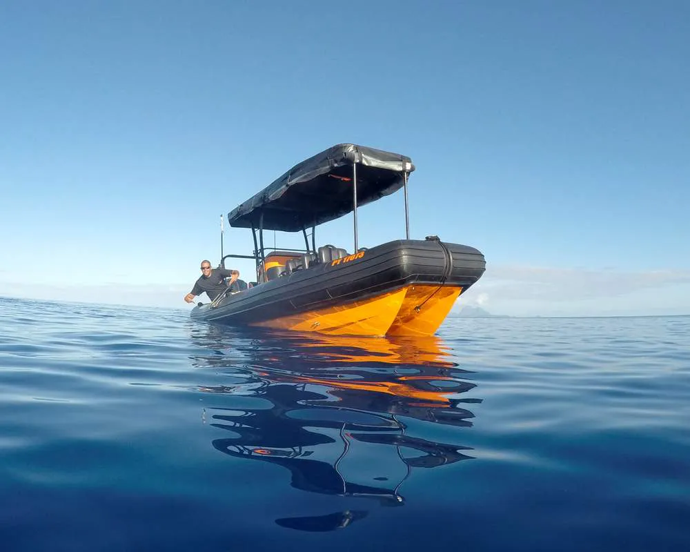Tour de snorkeling en bateau dans le lagon