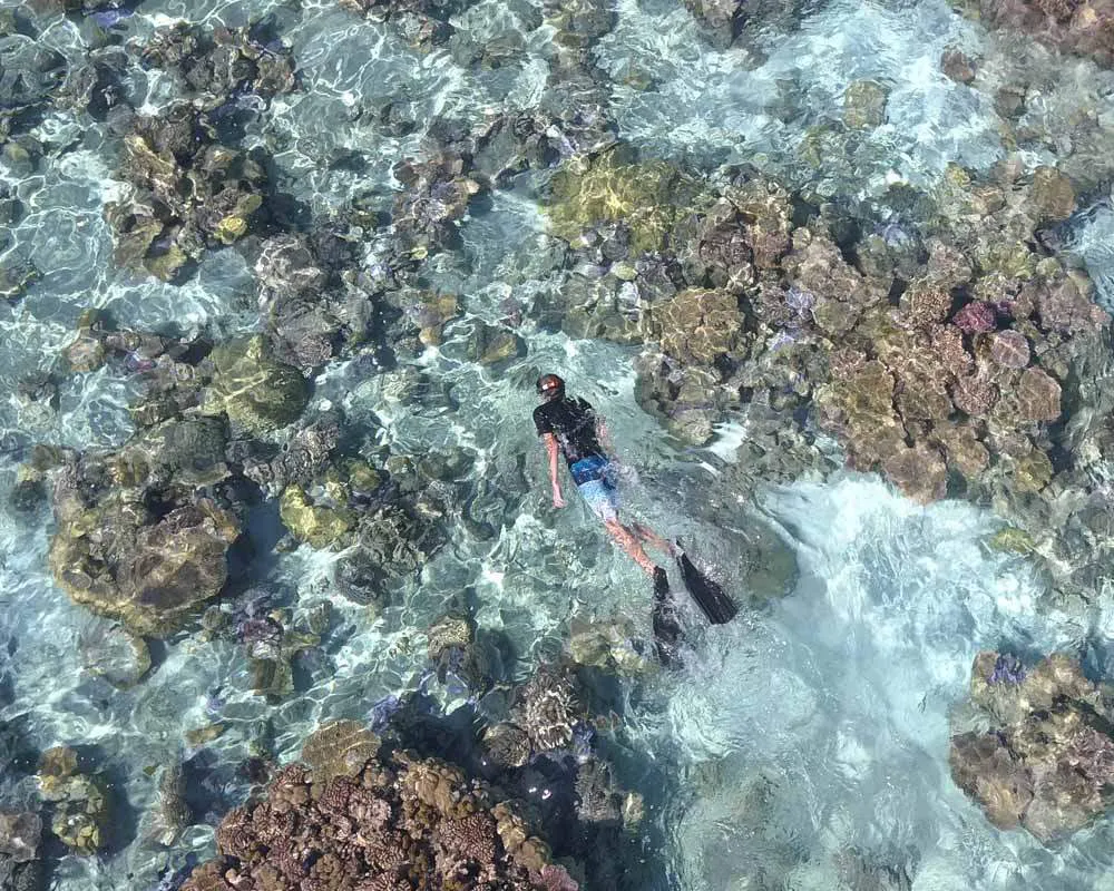Bora Bora plongée snorkeling site barrière corail