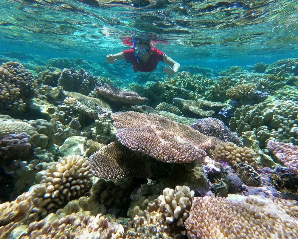 Bora Bora snorkeling barrière corail site