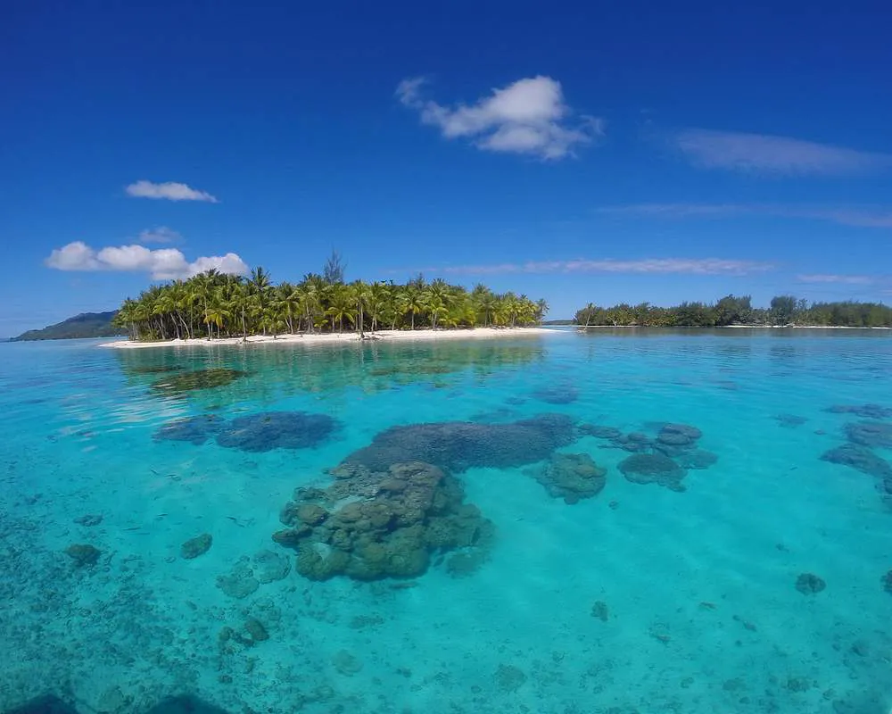 Bora Bora snorkeling Motu Tane site