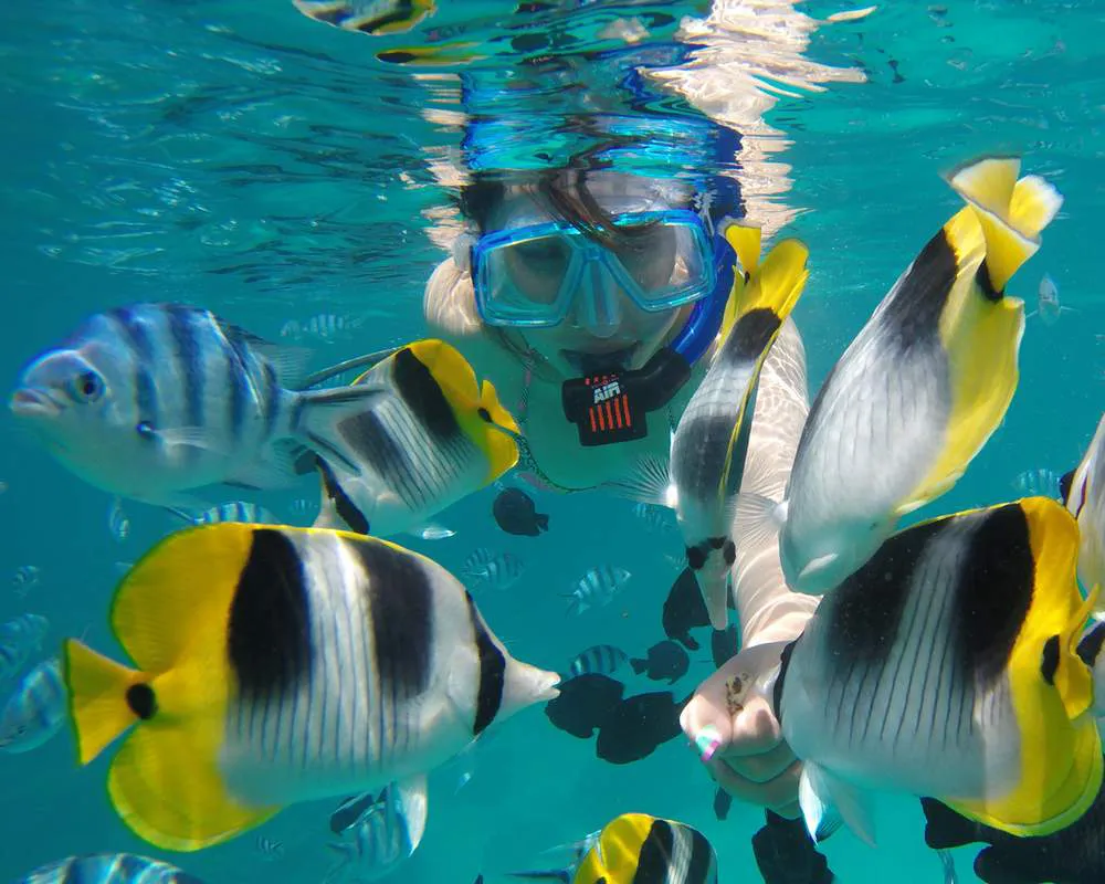 Bora Bora snorkeling plongeur Toopua Iti