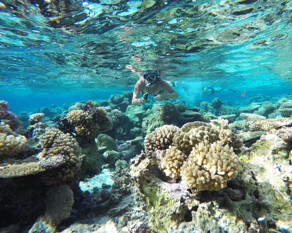 Barrière de corail de Bora Bora