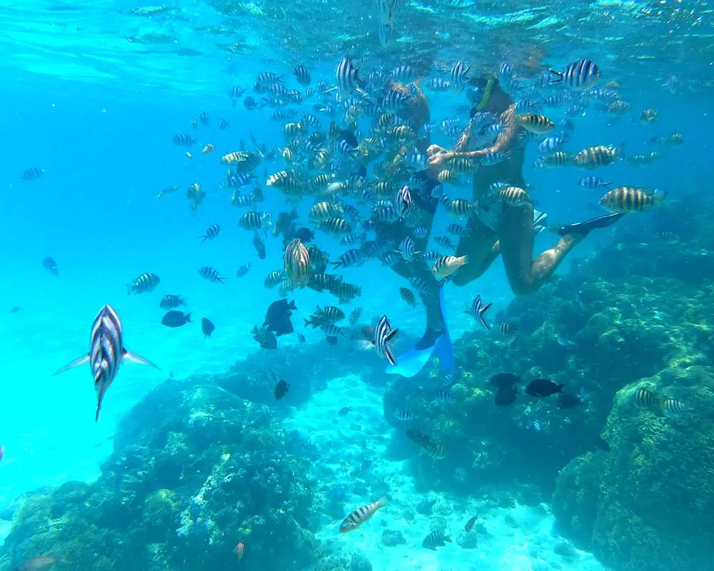 Bora Bora tour aquarium snorkeling site