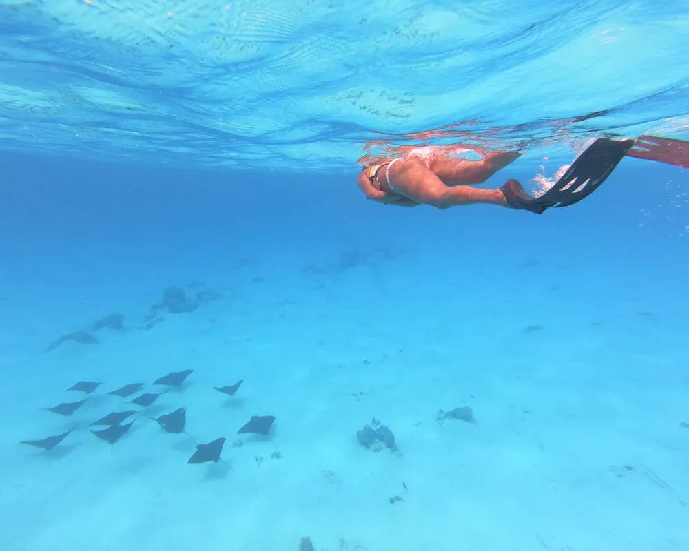 Snorkeling Bora Bora site Motu Fanfan