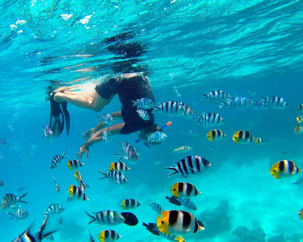 Snorkeling site Bora Bora aquarium plongeur