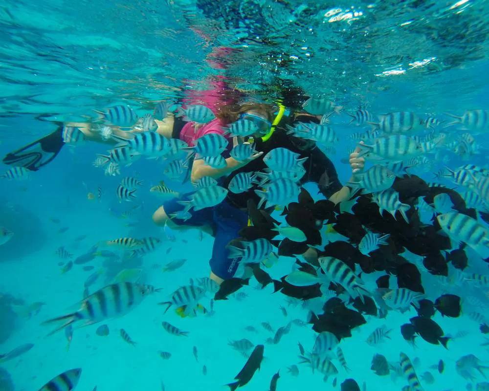 Snorkeling site Bora Bora Toopua Iti