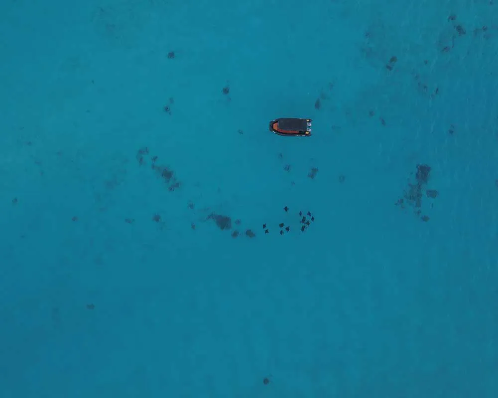 Snorkeling site Motu Fanfan Bora Bora plongée