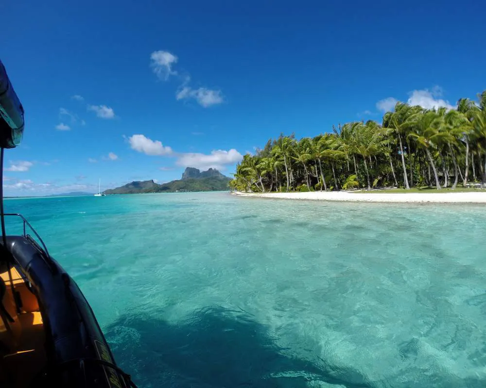 Bateau Tohora en tour de snorkeling