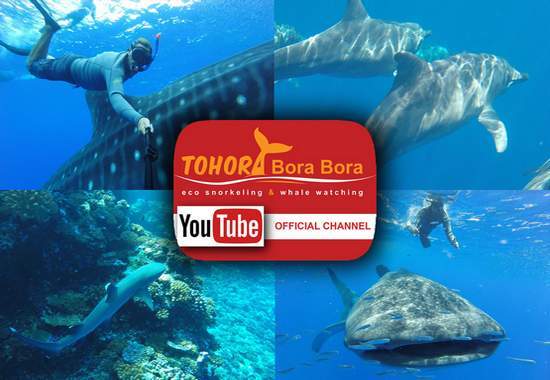 video tohora bora bora youtube