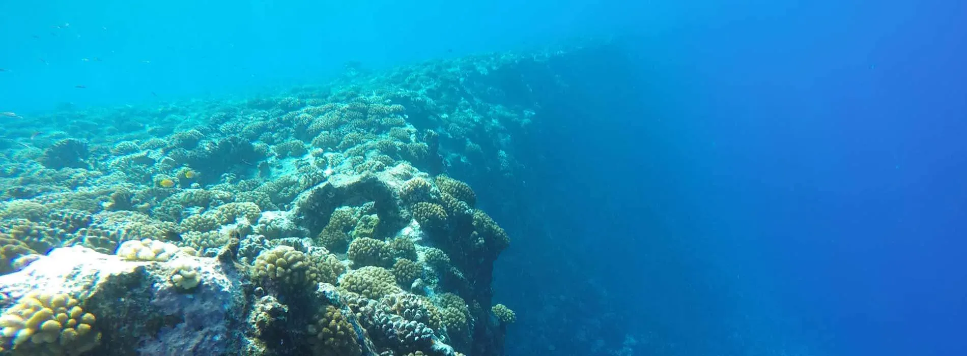 Site de snorkeling Motu Tapu à Bora Bora
