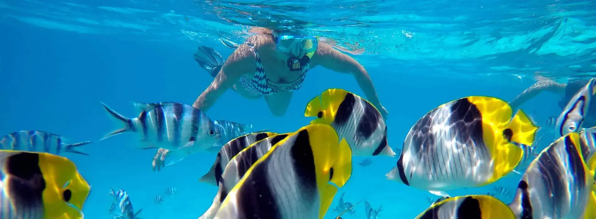 Site de snorkeling Toopua Iti à Bora Bora