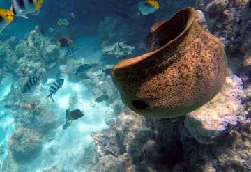 Tohora Bora Bora YouTube - Murène