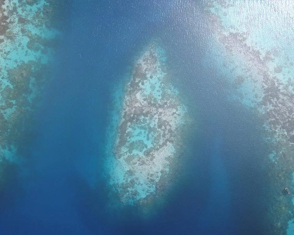 Bora Bora snorkeling site manta rays