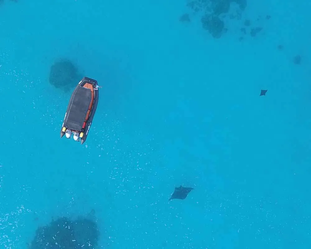 Bora Bora snorkeling site Toopua Nui
