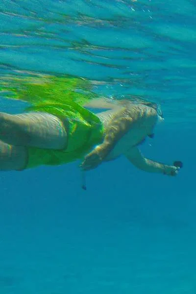Bora Bora Tohora snorkeling tour