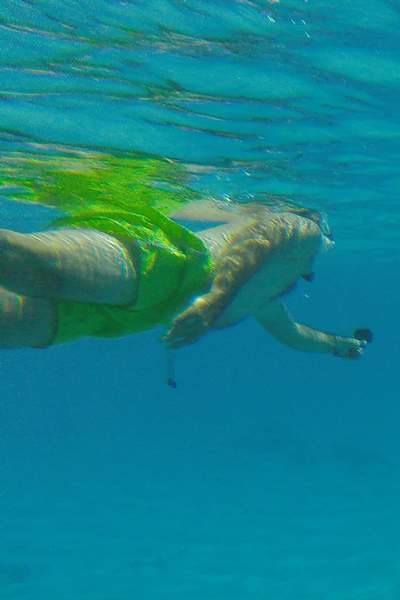 bora bora tohora snorkeling