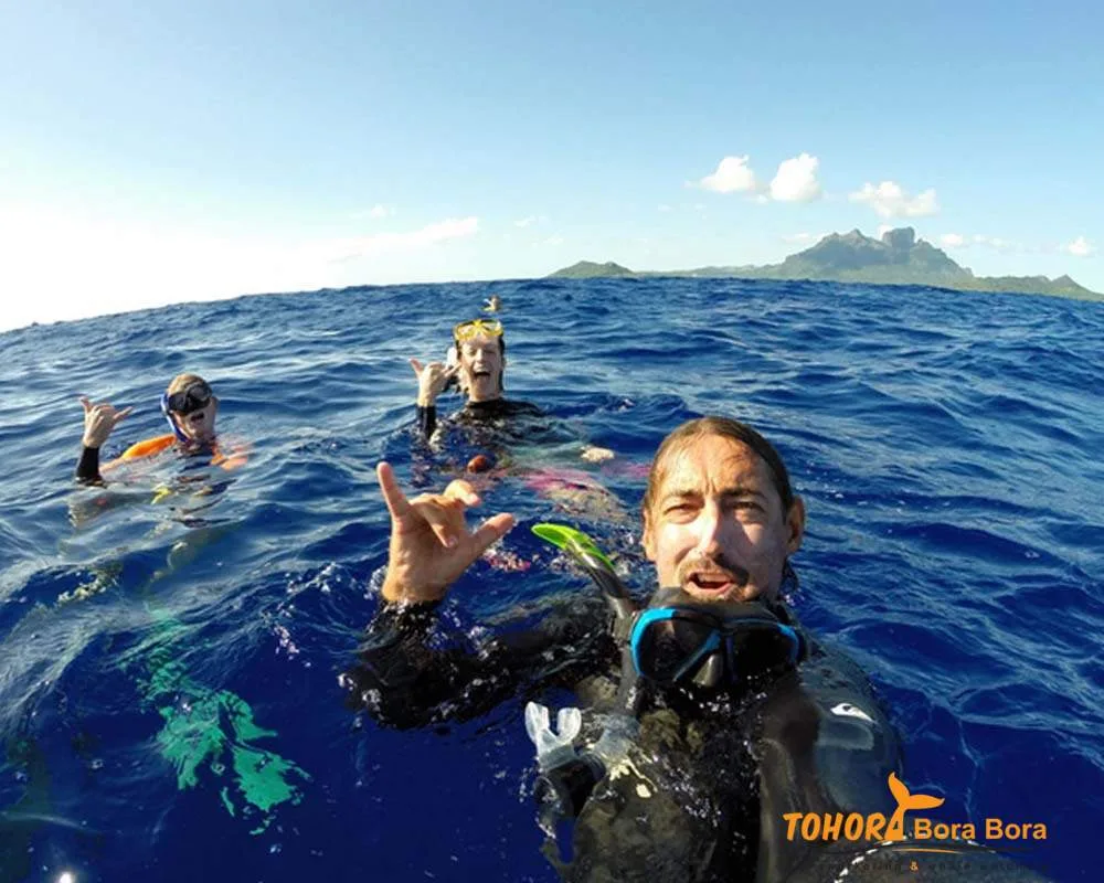 Guests Bora Bora island