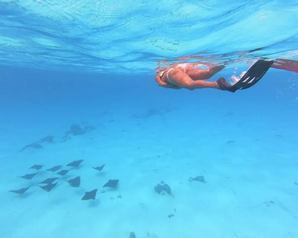 Snorkeling Bora Bora site Motu Fanfan