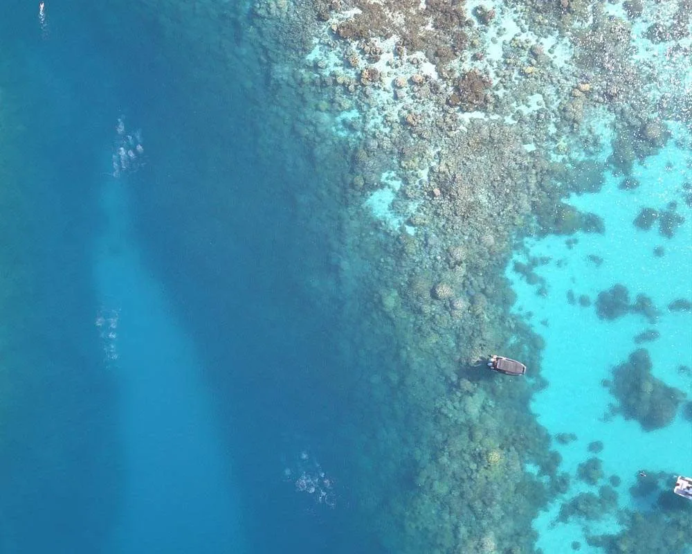 Snorkeling site Bora Bora manta rays