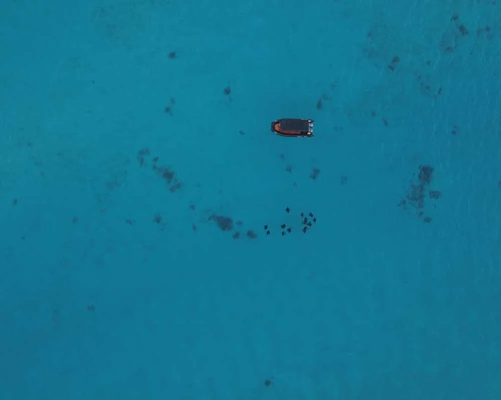 Snorkeling site Motu Fanfan Bora Bora