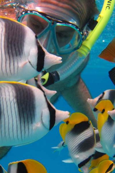 snorkeling bora bora multicolors fish